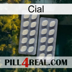 Cial 07